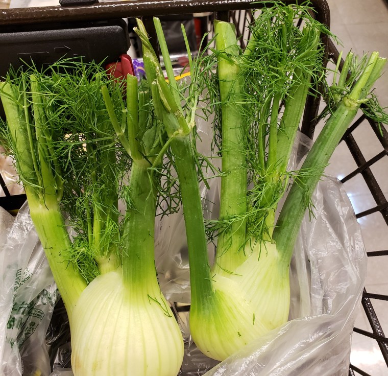 fennel